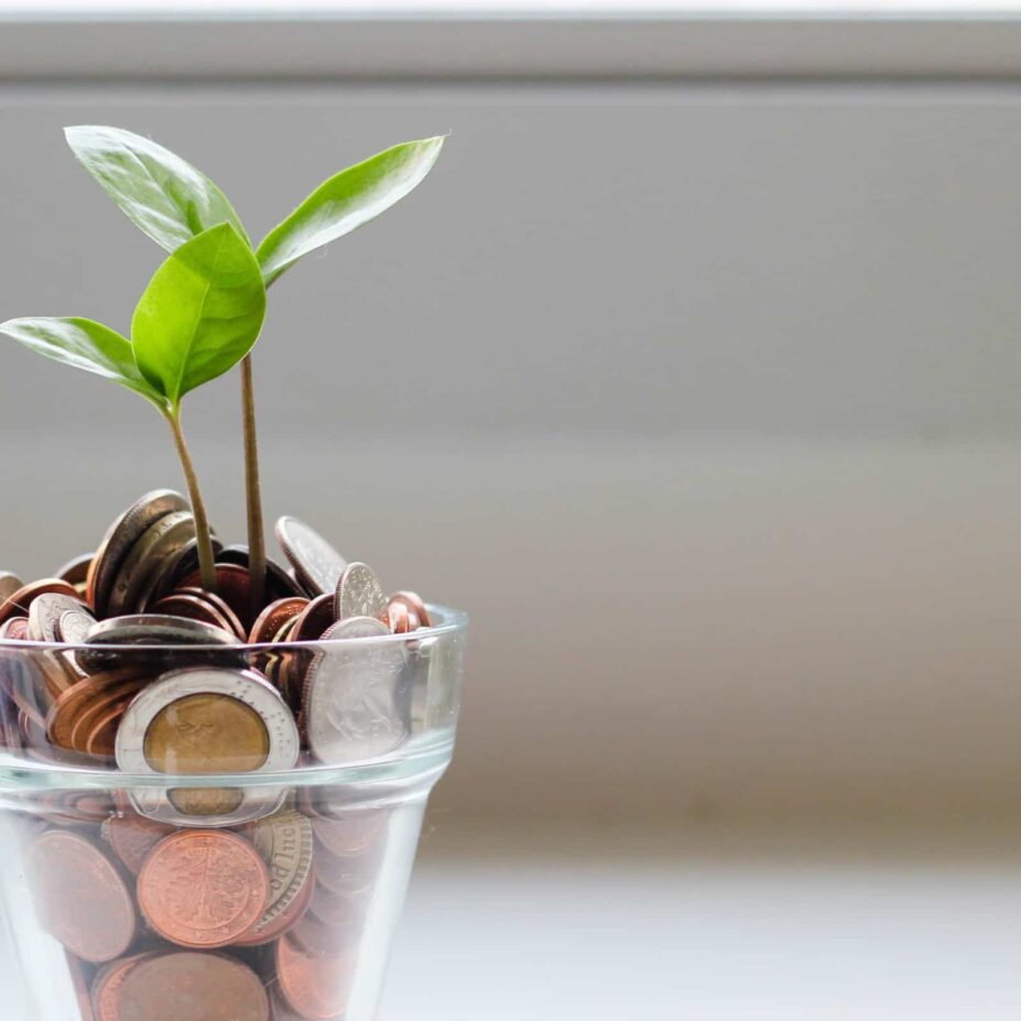 A money jar with a plant growing out of it.